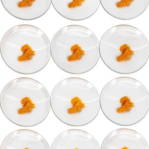 EISCO 12PK Watch Glasses, 2" (5cm) - Cover Lids for Beakers & Flasks - Evaporation Dish - Polished with Ground Edges-0